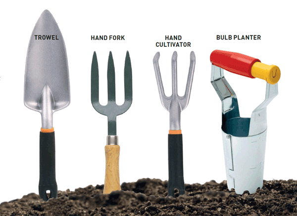 local records office Yard Tools to Maintain Your Own Yard and Garden