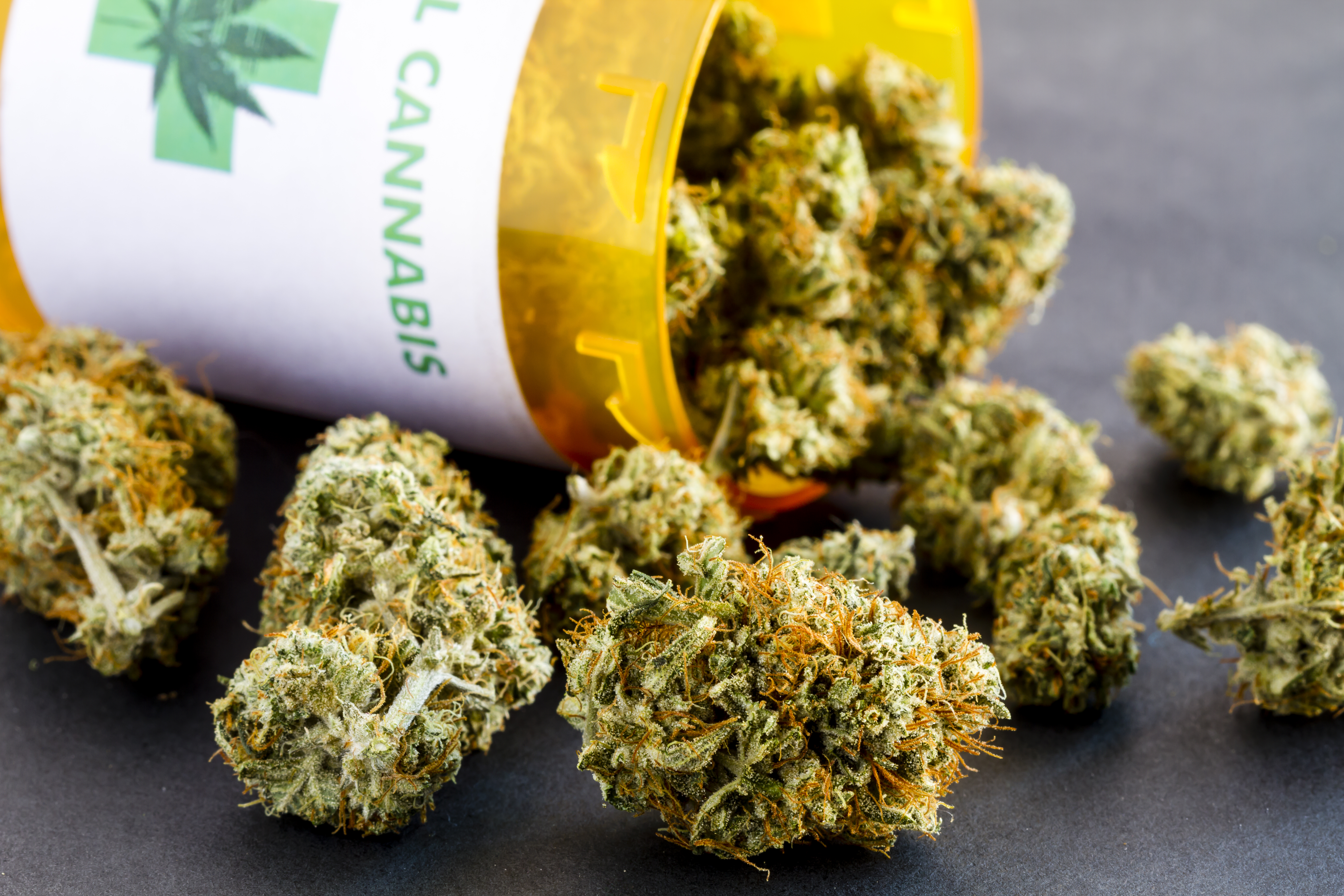 local-records-office-cannabis-california