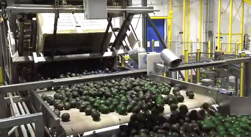 local_records_office_avocado_recall_henry