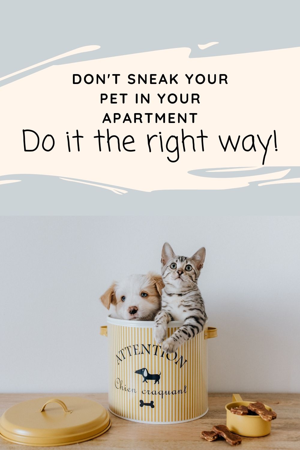 Don't sneak your pet in your apartment